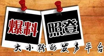 最新时事爆料新闻,最新时事爆料，揭开神秘事件真相