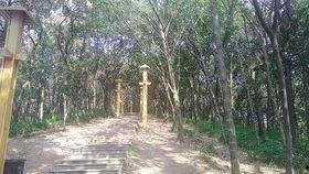 信阳震雷山最新爆料,揭秘神秘古墓群背后的历史之谜